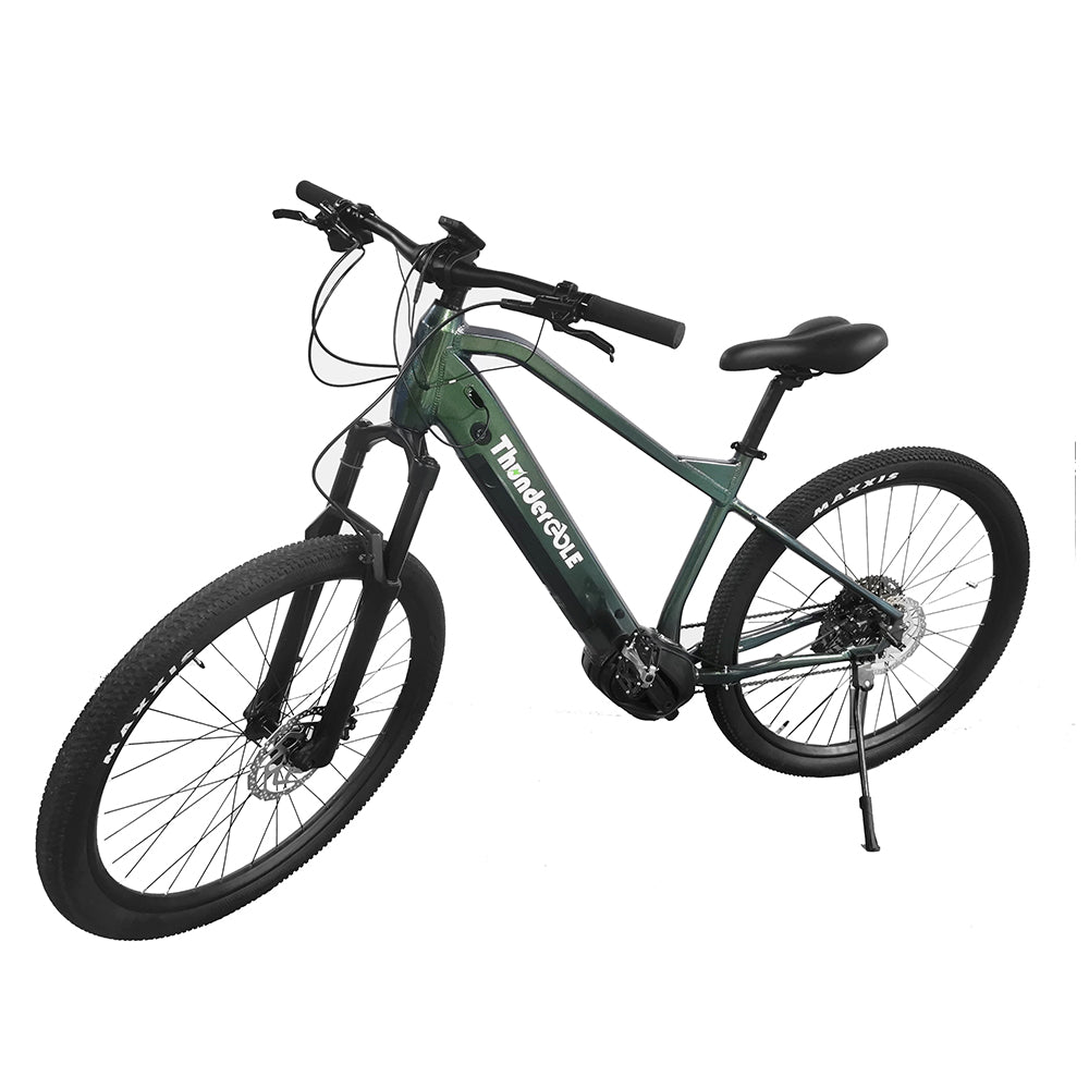 Thunder Aluminium Alloy Sport Electric Mountain Bike