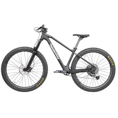 Thunder Sport Carbon Fiber Mountain Bike