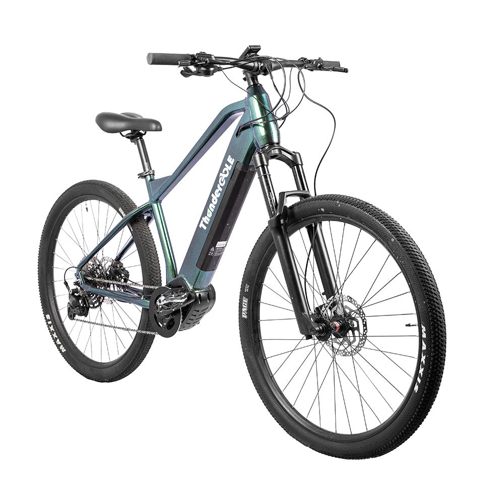 Thunder Aluminium Alloy Sport Electric Mountain Bike