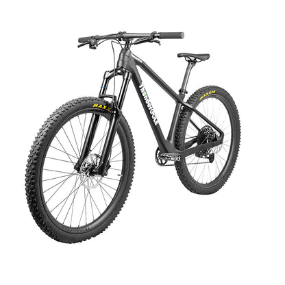 Thunder Sport Carbon Fiber Mountain Bike