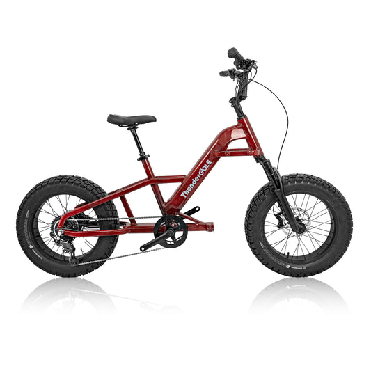 Thunder Wildlife - Fat Tire E-cargo Bike